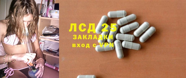 прущие грибы Алексеевка