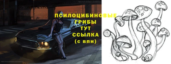 прущие грибы Алексеевка