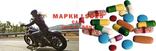 прущие грибы Алексеевка
