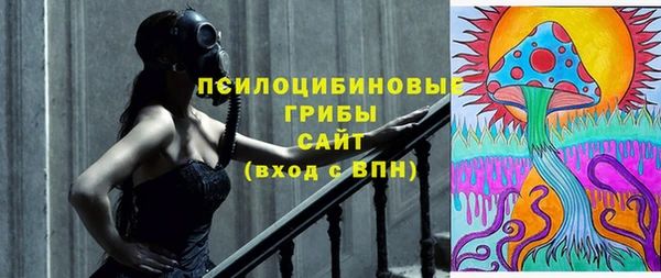 таблы Алзамай
