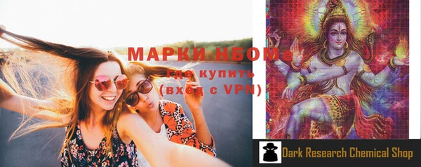 прущие грибы Алексеевка