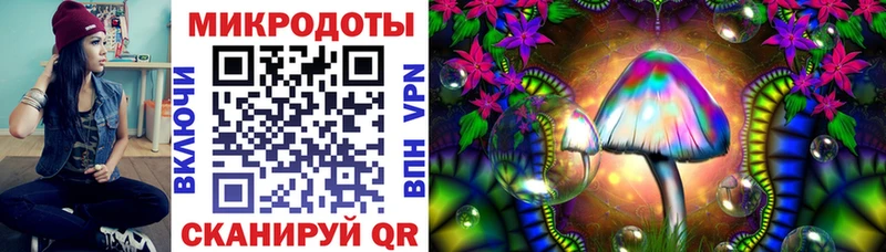 Галлюциногенные грибы прущие грибы  Лахденпохья 